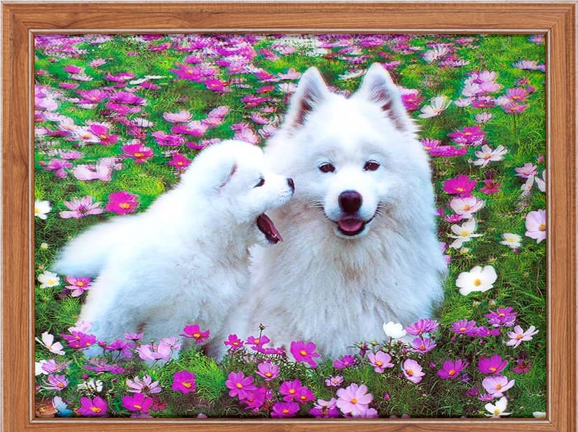 Купить Картина 5D 30х40 Белые собачки в Туле и Тульской области в интернет-магазине Чудо Свет