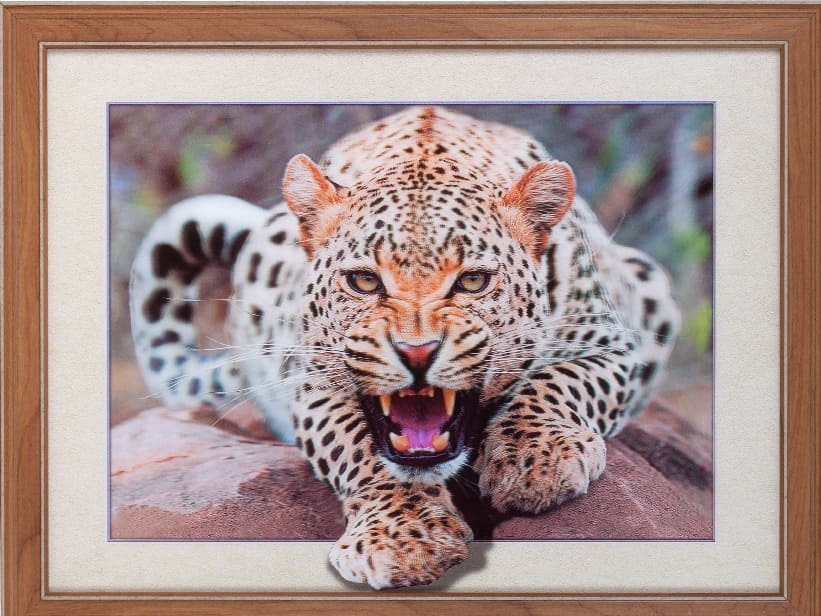 Купить Картина 5D 30х40  Леопард в Туле и Тульской области в интернет-магазине Чудо Свет
